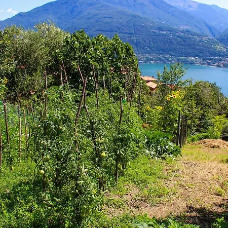 Lägenhet Lariano Giardino - Ferienwohnung Mit Garten Und Seeblick